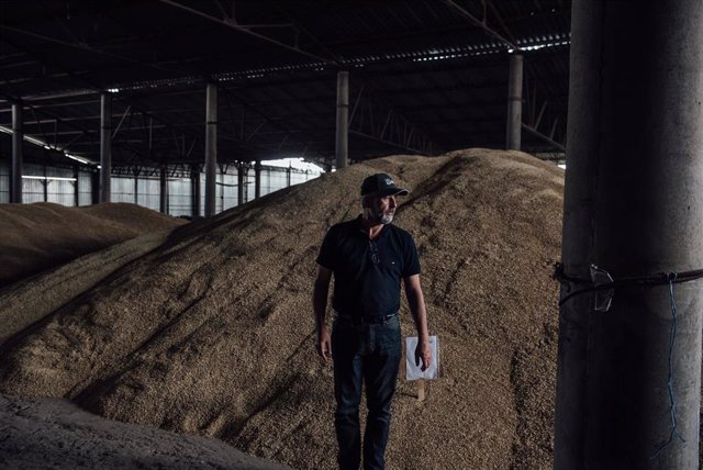 Archivo - Un agricultor en un almacén de cereales en Ucrania.