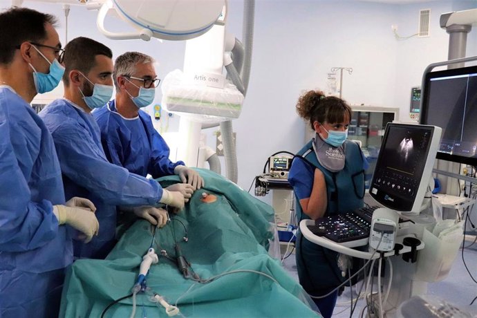 En la imagen, tratamiento de arritmia con el uso de ecografía intracardiaca en el Hospital Juan Ramón Jiménez.