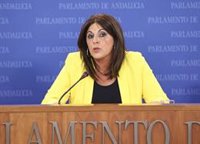 PSOE-A urge a Moreno a pedir comisión bilateral con el Gobierno y afea su "huida adelante con mentiras" sobre Doñana