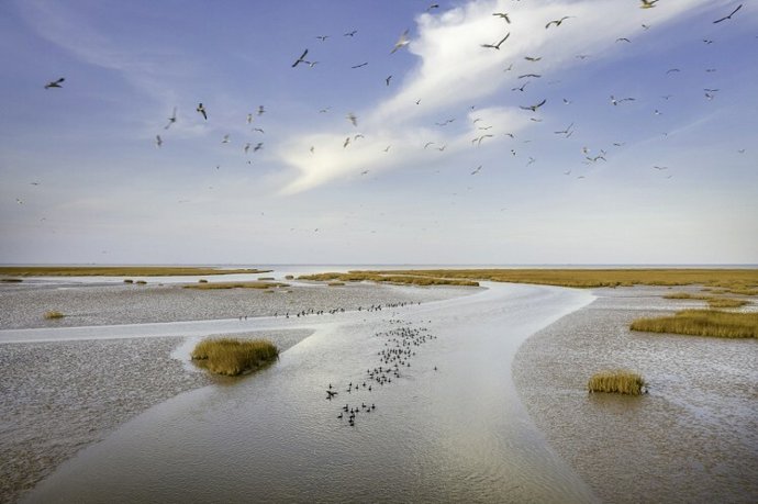 Image_1
