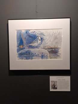 La exposición 'Trazos. Una mirada del Siglo XXI a la pintura científica'