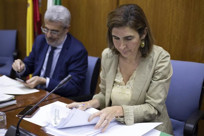 La consejera de Empleo, Empresa y Trabajo Autónomo, Rocío Blanco, a su llegada a la Comisión parlamentaria.