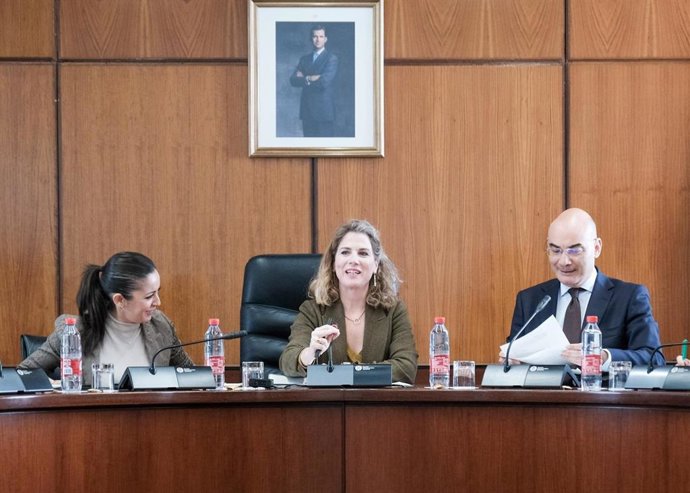 La vicepresidenta primera del Parlamento, Ana Mestre, este miércoles en la reunión de la Junta de Portavoces, donde ha suplido al presidente, Jesús Aguirre, quien se encontraba con el Rey Felipe VI en Ronda (Málaga).