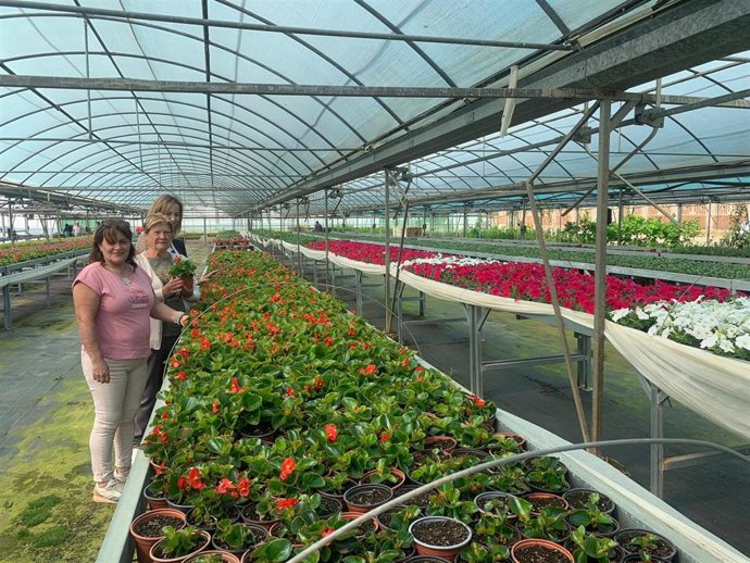 La Diputación de Cáceres entrega plantas ornamentales de temporada a 141 municipios de la provincia