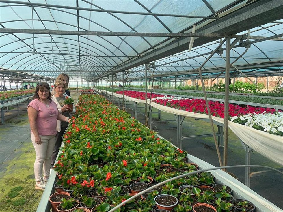 La Diputación de Cáceres entrega plantas ornamentales de temporada a 141 municipios de la provincia