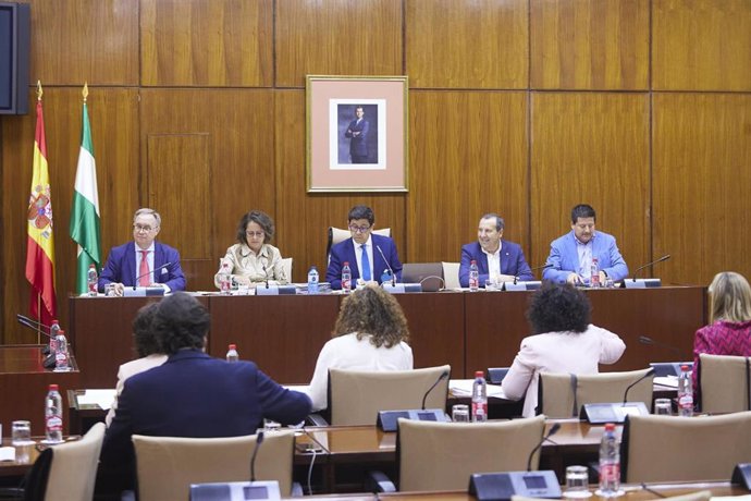 La consejera de Salud y Consumo de la Junta de Andalucía, Catalina García, comparece en la comisión de Salud y Consumo en el Parlamento de Andalucía.