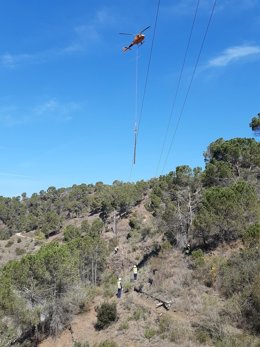 Un helicóptero transporta 45 postes de madera de la línea de media tensión de Endesa en el Priorat (Tarragona)