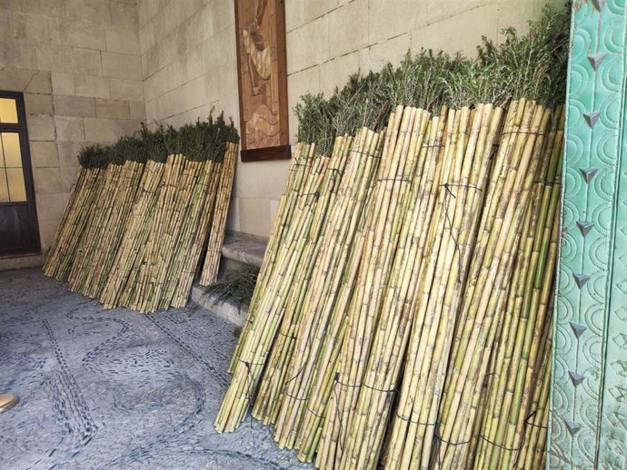 Cañas de romero para la Santa Faz de Alicante.