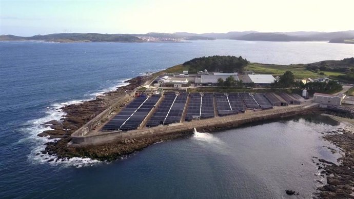 Telefónica Tech digitalizará 14 granjas acuícolas de Stolt Sea Farm en cinco años