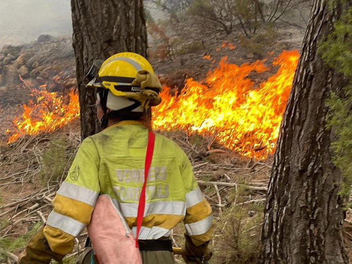 Efectivo trabajando en el incendio de Villanueva de Viver