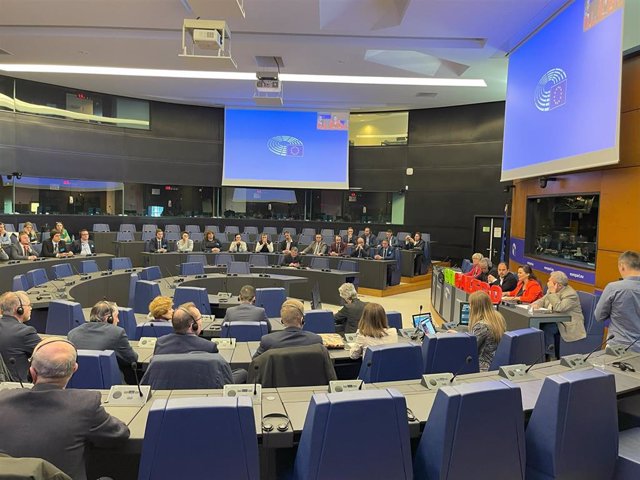 A Mesa y productores denuncian en el Parlamento europeo que la Ley Audiovisual no garantiza la pluralidad lingüística