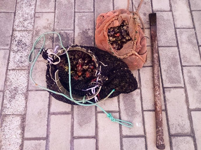 La Policía Autonómica incauta cuatro kilos de percebe en A Coruña