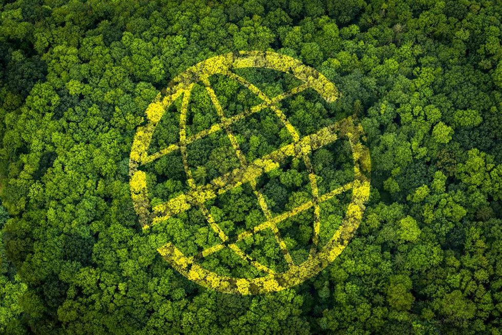 Prosegur lanza un proyecto de compensación de emisiones