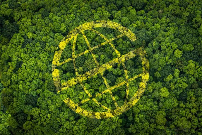 Prosegur lanza un proyecto de compensación de emisiones