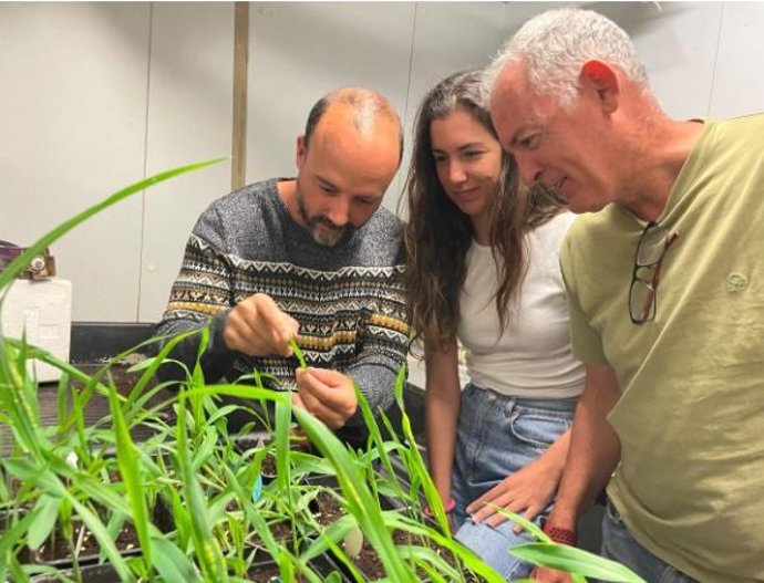 Blanca Navarrete, Ramón Ramos y Nacho Ibbeas en su laboratoro en el CABD