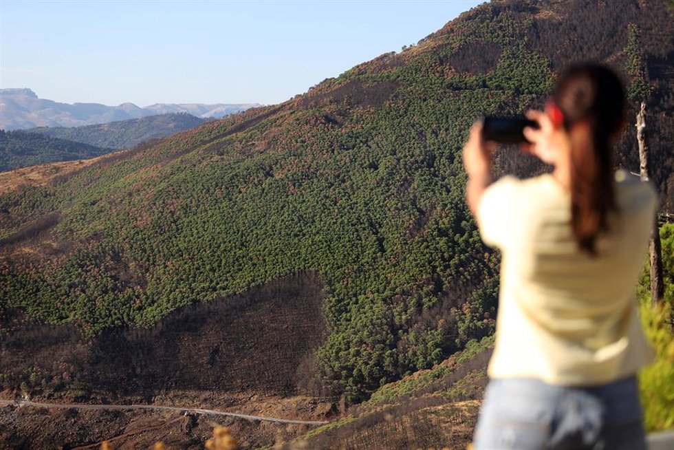 Archivo - Imagen de archivo de la zona afectada por el incendio declarado hace dos años en Sierra Bermeja.