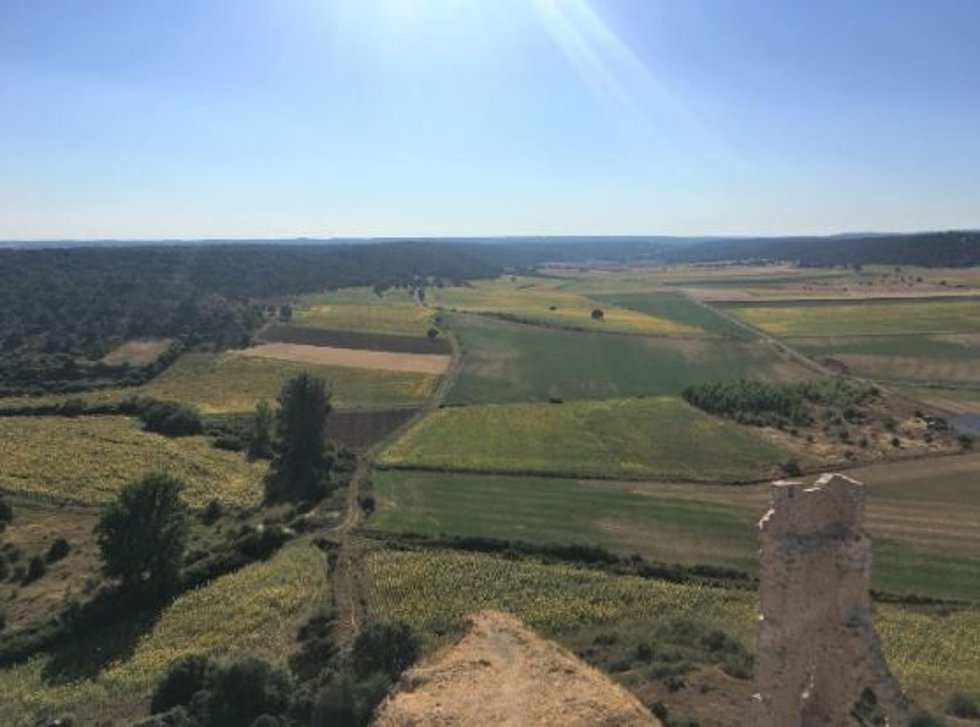 Archivo - Paisaje agrícola con diversidad de cultivos y tamaño de campos pequeños.
