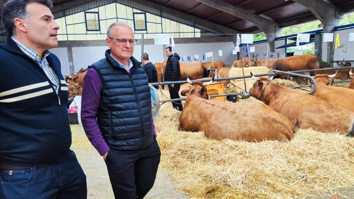 El candidato del PP a la Presidencia del Principado, Diego Canga, en el Concurso Subasta Nacional de la Raza Asturiana de los Valles de Cangas del Narcea.