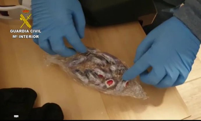 Detenido un grupo organizado dedicado al tráfico de drogas en Calvi