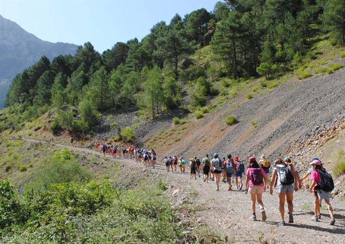 Las colonias tendrán lugar en Anento, Morata de Jalón y Alcalá de Moncayo