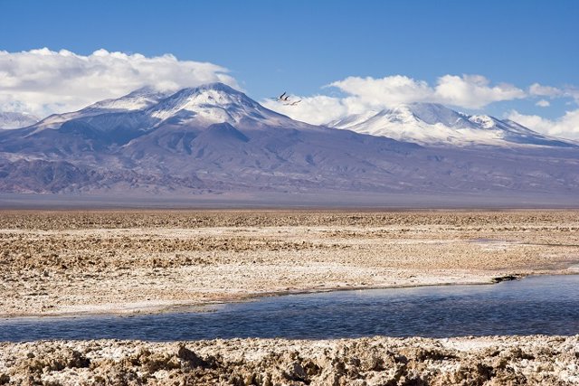 Archivo - Extracción de litio en Chile