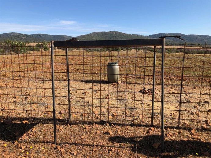 Los cazadores aportan alimento y agua en las charcas, bebederos y comederos de los cotos de caza