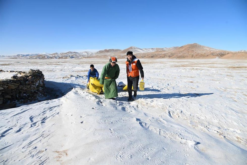 Distribución de ayuda a comunidades locales en Mongolia