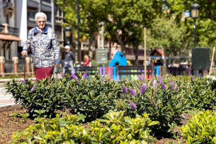 Finalizan los trabajos de renovación de los viejos parterres del Paseo Sagasta.