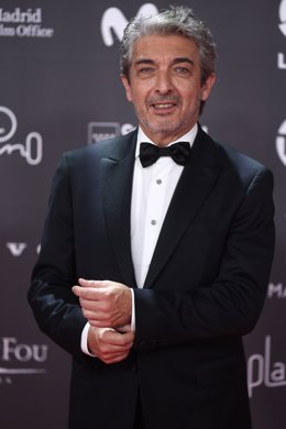 El actor Ricardo Darín posa a su llegada a la 10 edición de los Premios Platino del cine Iberoamericano,  a 22 de abril de 2023, en Madrid, (España). Los Platino trabajan desde su primera edición en 2014 en la difusión del audiovisual iberoamericano, p