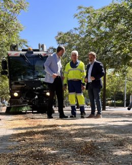 Trabajos de limpieza de semillas de Melias