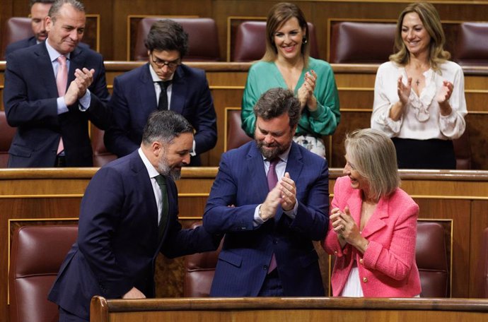 La bancada de Vox aplaude a su líder, Santiago Abascal, durante una sesión plenaria en el Congreso de los Diputados