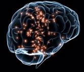 Foto: La conexión mente-cuerpo está integrada en el cerebro