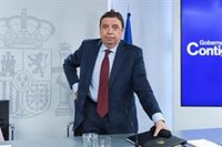 Planas confía en una solución para Doñana sin recurrir al artículo 155: "Hay mecanismos legales menos extraordinarios"