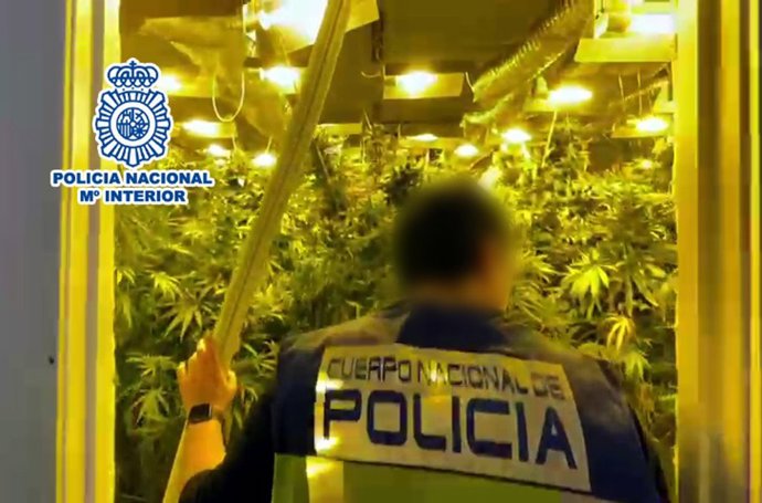 Nota De Prensa: "La Policía Nacional Desmantela Una Plantación Indoor De Marihuana Oculta En Una Nave Industrial "