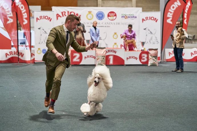 100X100mascota Celebrará Su 12 Edición En Ifema Madrid Los Días 27 Y 28 De Mayo