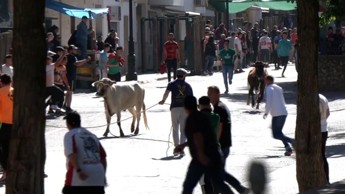 Vídeo de la noticia