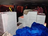 Intervenidos 400 kilos de pijotas sin "trazabilidad fiable" para la noche del pescaíto en la Feria de Sevilla