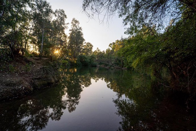 Río Guadiamar a su paso por el término municipal de Sanlucar la Mayor, a 22 de abril de 2023, en Sevilla, (Andalucía, España).