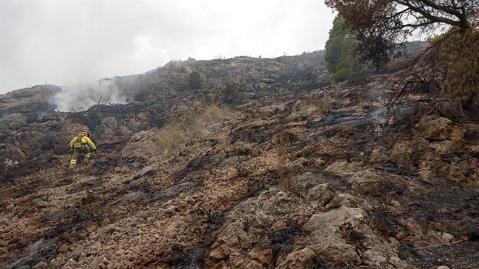 Archivo - Incendio forestal en la Sierra Larga de Jumilla (Murcia)