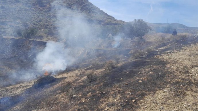 Incendio forestal en Huércal-Overa (Almería). (Foto de archivo).