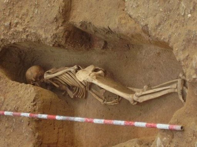 Confirman por primera vez el origen fenicio de cinco individuos enterrados y localizados en Cádiz