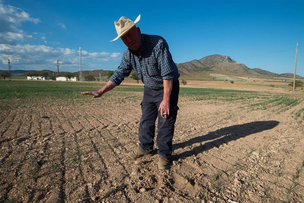 Un agricultor muestra su tierra , a 20 de abril de 2023, en Murcia