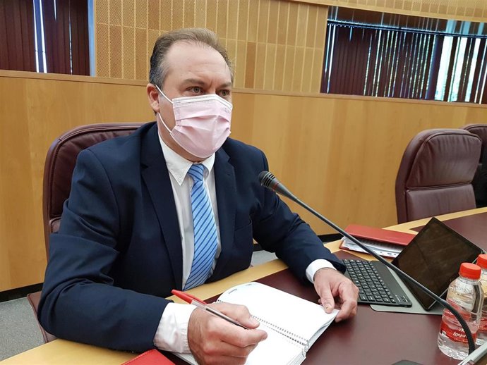 Archivo - Fernando Pérez, en imagen de archivo en su etapa de diputado provincial del PP 