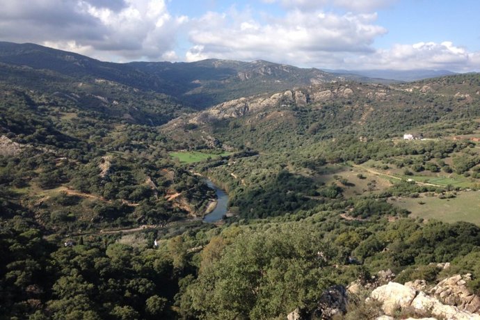 Archivo - Parque Natural de Los Alcornocales, en la provincia de Cádiz