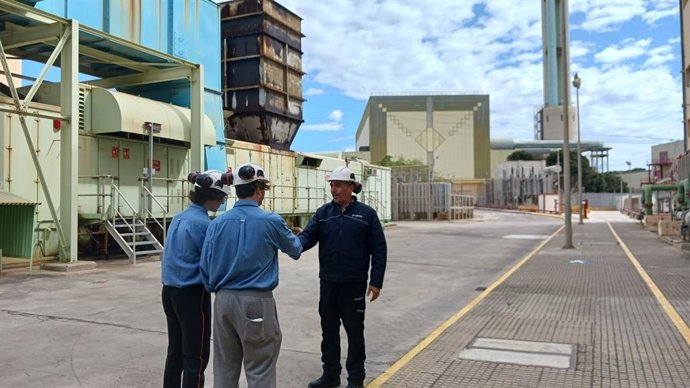 Dos estudiantes del IES Isidor Macabich participan en un programa de Endesa para familiarizarse con una profesión técnica