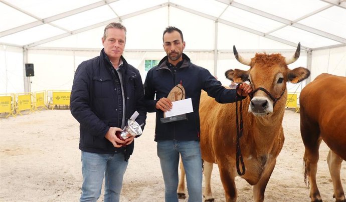El presidente del parlamento asturiano, Marcelino Marcos, participa en la entrega de premios de un certamen ganadero en Salas.