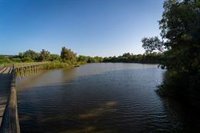 La CHG esgrime actuaciones por 2,3 millones en el río Guadiamar con efectos en Doñana