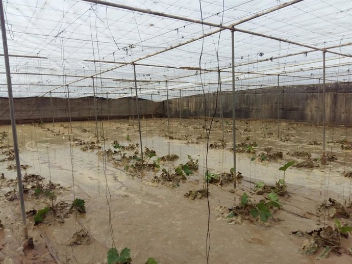 Archivo - Inundaciones en invernaderos de Almería