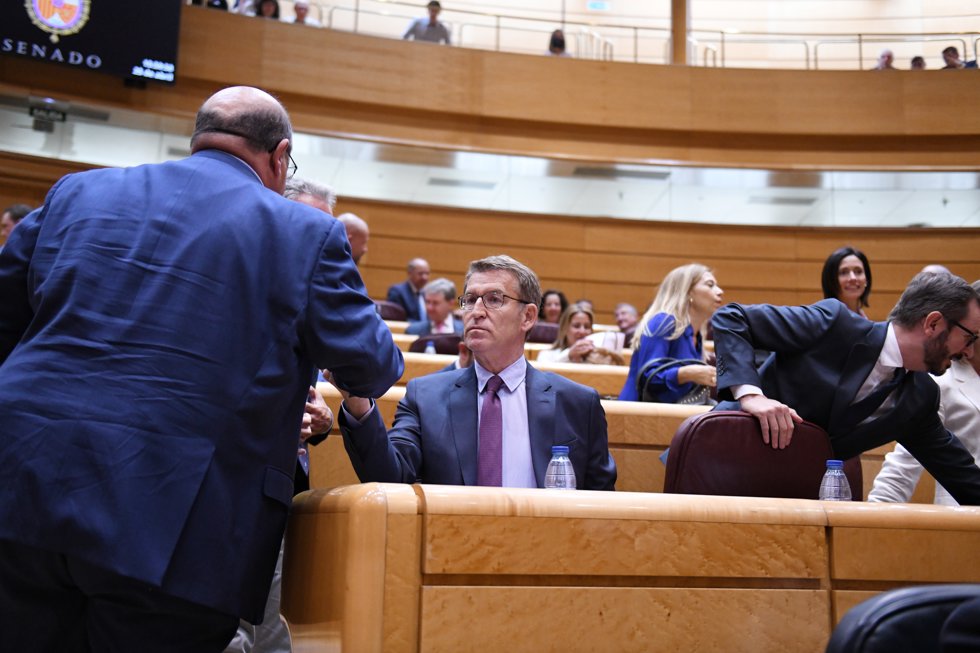El presidente del Partido Popular, Alberto Núñez Feijóo,  durante el pleno del Senado. 