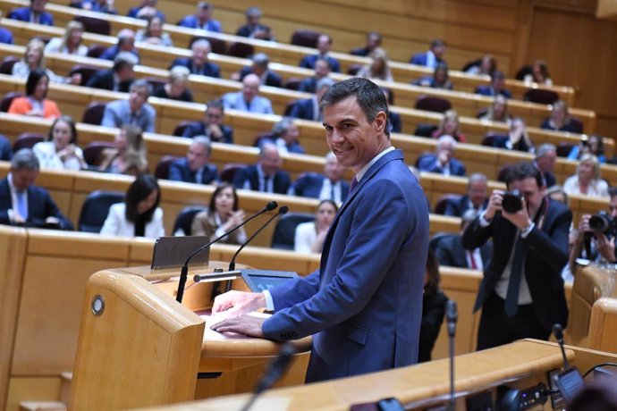 El presidente del Gobierno, Pedro Sánchez, interviene durante un pleno del Senado